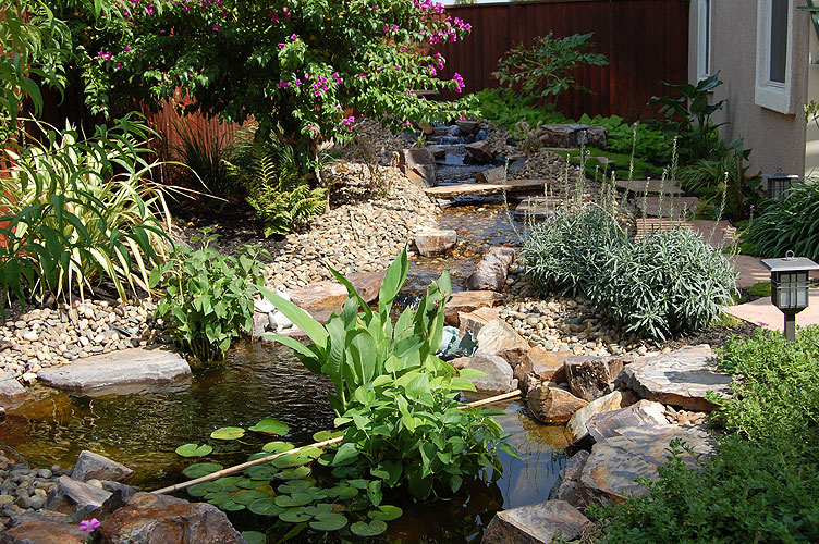 Best waterscape design in Contra Costa and Solano Counties